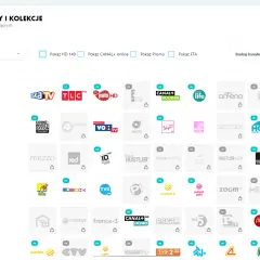Siatka z logotypami kanałów telewizyjnych, m.in. Eska TV, TLC, Puls HD, Canal+ Kuchnia, Discovery Life.