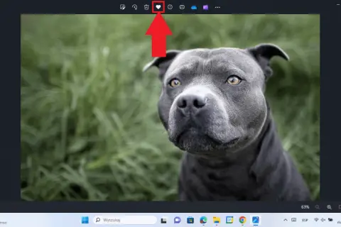 Jak znaleźć ulubione zdjęcia w Windows 10 i uniknąć frustracji