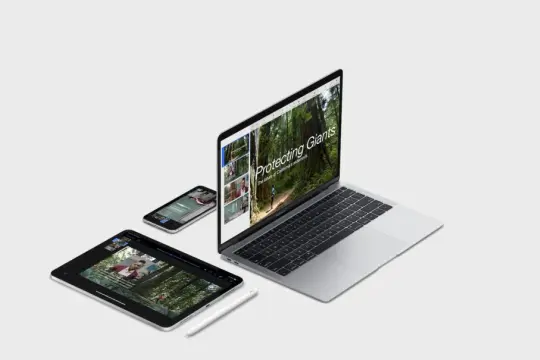 Prezentacja keynote na laptopie, tablecie i telefonie o ochronie gigantycznych drzew.