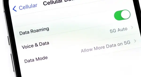 Ustawienia telefonu: jak włączyć roaming danych. Widoczny przełącznik "Data Roaming" jest włączony.