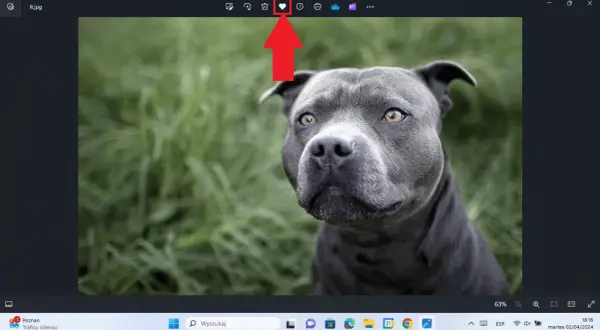 Jak znaleźć ulubione zdjęcia w Windows 10 i uniknąć frustracji