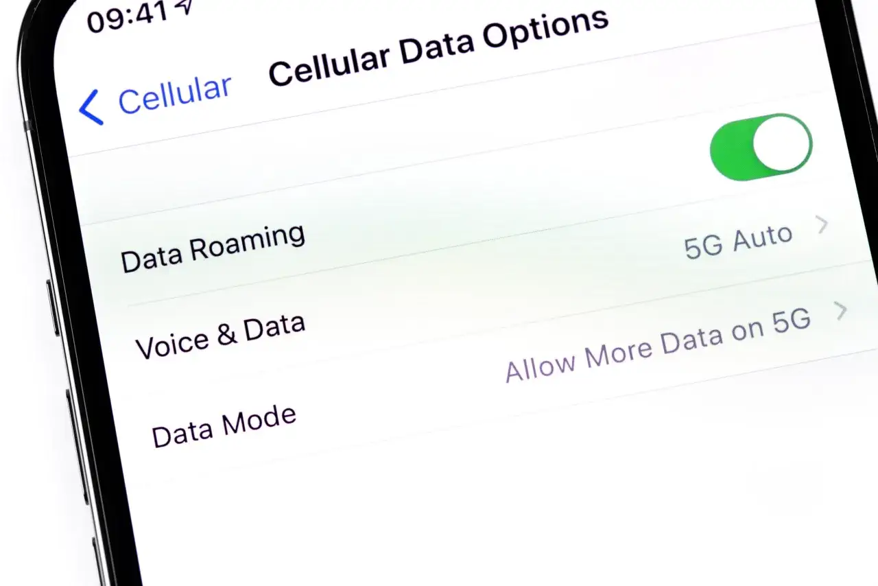Ustawienia telefonu: jak włączyć roaming danych. Widoczny przełącznik 